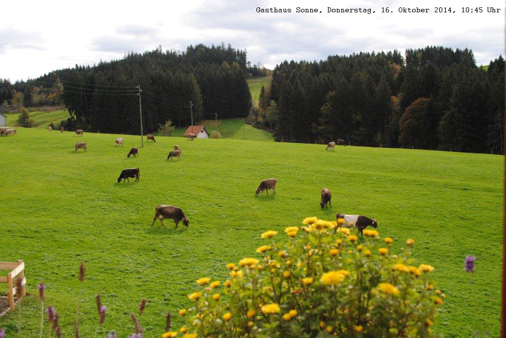 sonne_20141016