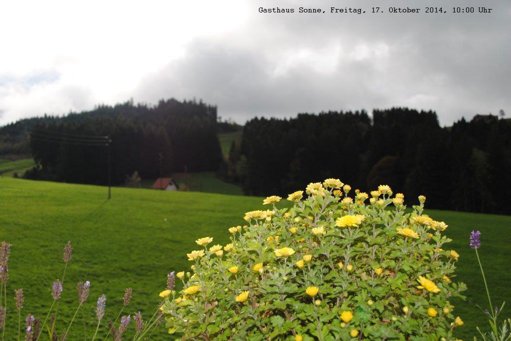 sonne_20141017